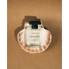 RAAW Alchemy Coco Santal Eau de Parfum | Fasada Store
