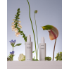 ONEST Refresh face cleanser